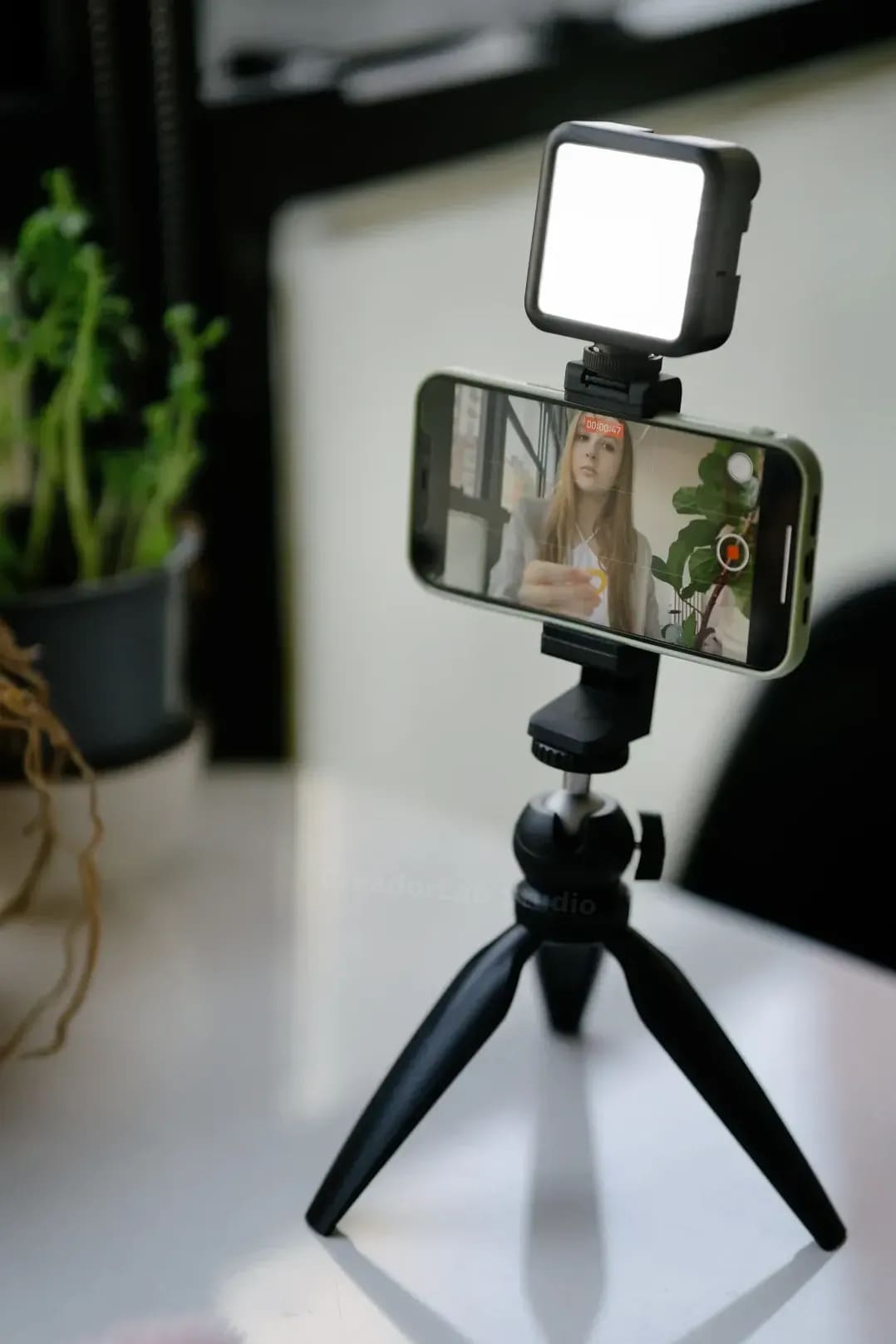 Optimización de contenido para TikTok, Instagram y YouTube Shorts